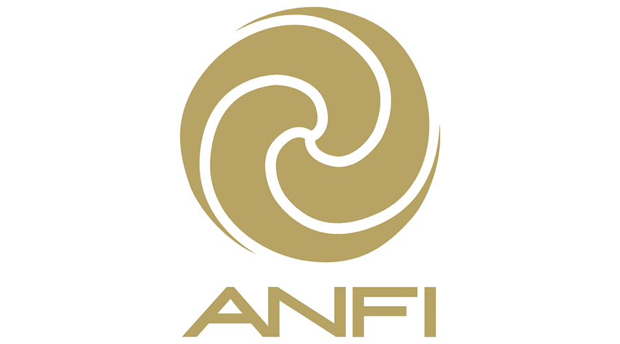 anfi group